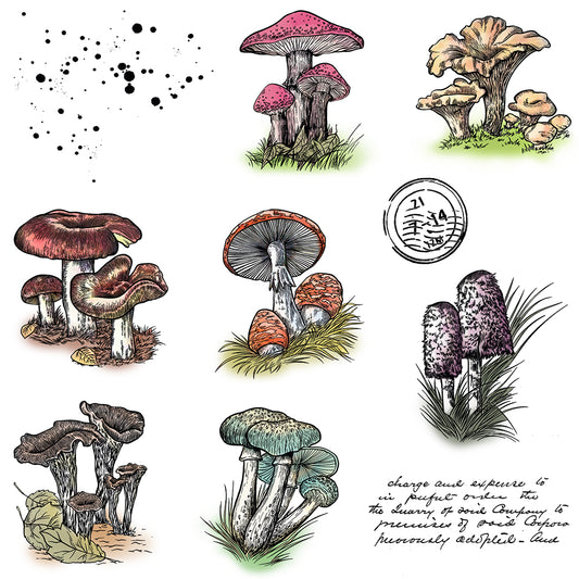 Summer Nature Mushrooms Cutting Dies And Stamp Set YX1341-S+D