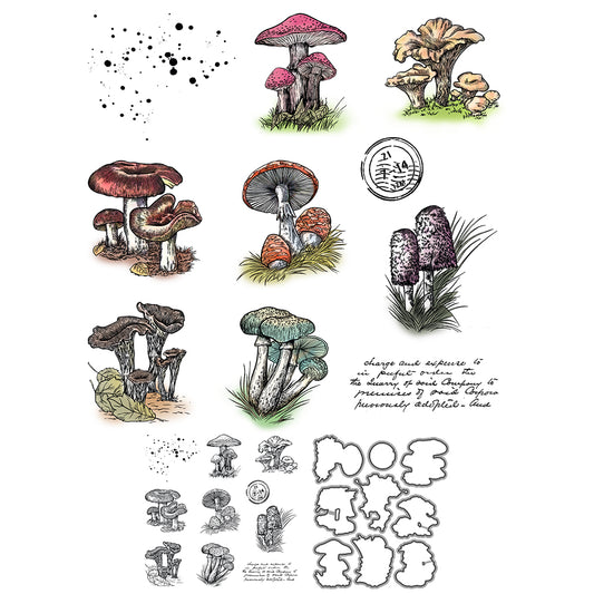 Summer Nature Mushrooms Cutting Dies And Stamp Set YX1341-S+D