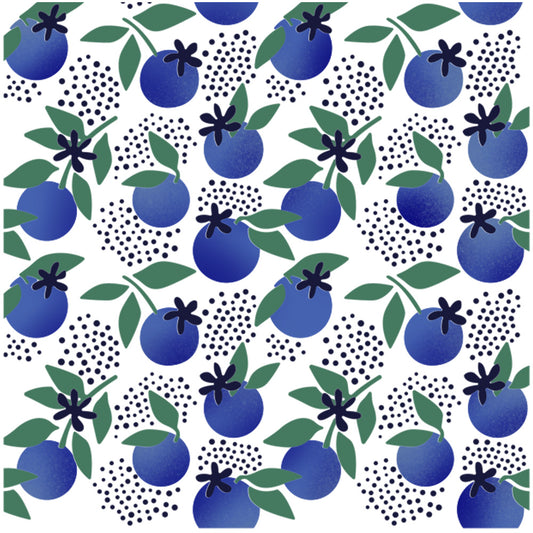 3pcs Spring Series Sweet Blueberry Fruit Plastic Stencils For Decor Scrapbooking Cards Background 20220817-37