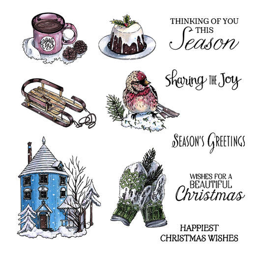 2022 Winter Christmas Bird Cutting Dies And Stamp Set YX655-S+D