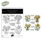 Blooming Flowers In Bottles Cutting Dies And Stamp Set YX1339-S+D