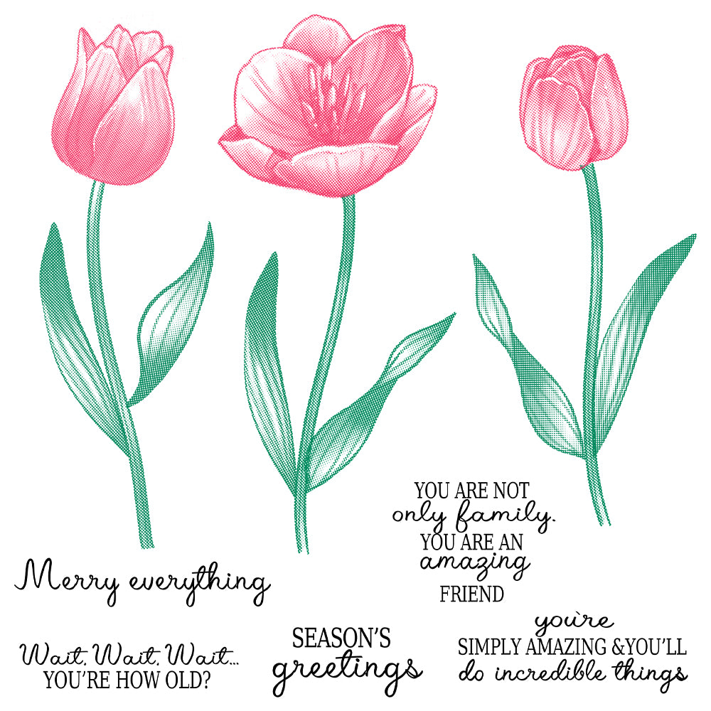 Beautiful Tulips Flowers Cutting Dies And Stamp Set YX1338-S+D