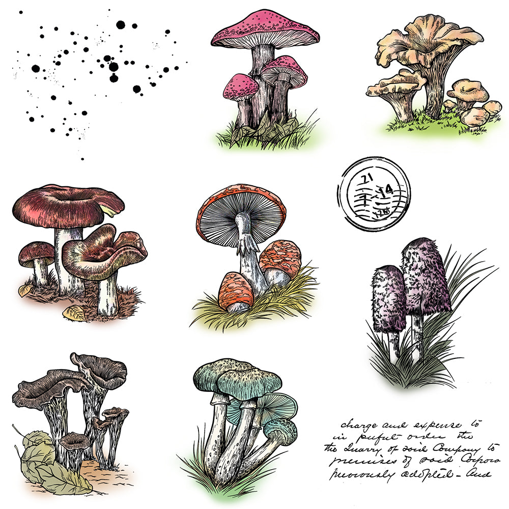 Summer Nature Mushrooms Cutting Dies And Stamp Set YX1341-S+D