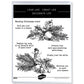 Christmas Branches Cutting Dies And Stamp Set YX1484-S+D