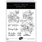 Spring Bloomed Flowers Magnolia Cutting Dies And Stamp Set YX1209-S+D