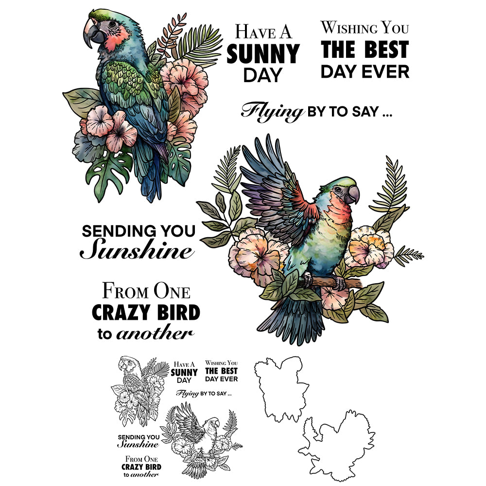 Beautiful Painted Birds And Nest Cutting Dies And Stamp Set YX1210-S+D