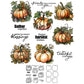 Pumpkin Cutting Dies And Stamp Set YX1453-S+D