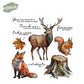 Nature Forest Animals Fox Deer Squirrel Clear Stamp YX1176-S
