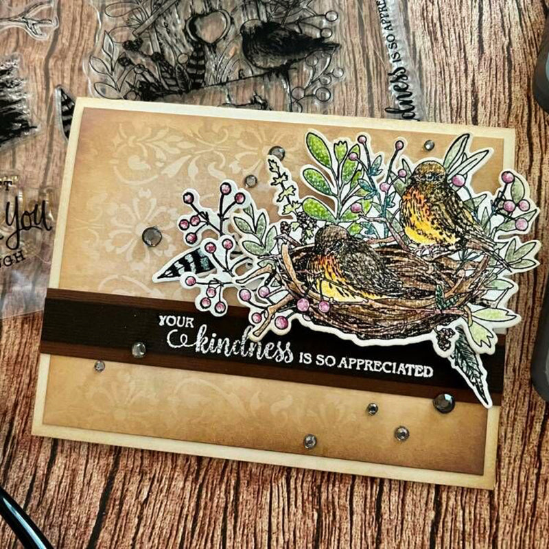 Colorful Painting Birds And Nest Clear Stamp YX535-S