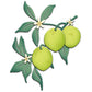 Fruits Lemon Lime In The Branches Metal Cutting Dies Set YX944