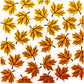 2pcs Nature Maple Leaves Plastic Stencils For Decor Scrapbooking Card Making 20220817-92