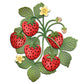 Spring Series Sweet Strawberry Metal Cutting Dies Set YX942