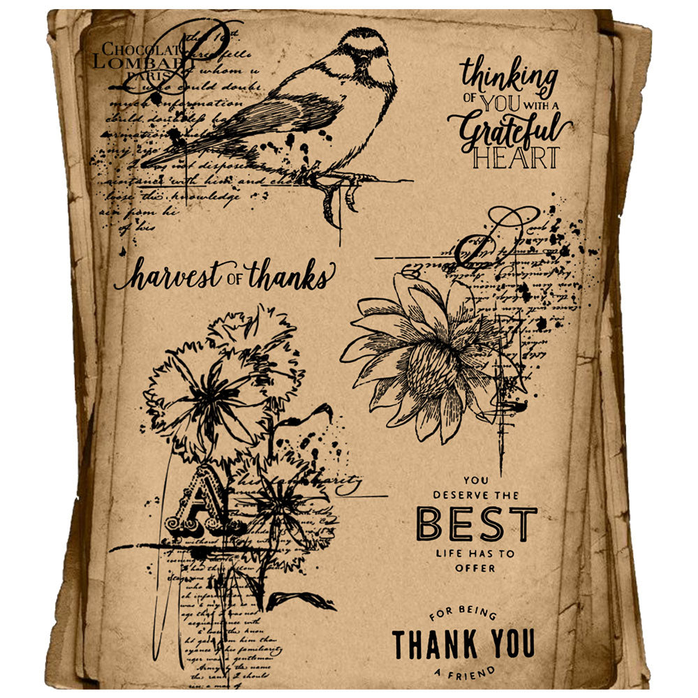 Retro Autumn Sparrow Bird And Flowers Clear Stamp YX787