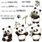 Kawaii Panda And Bamboo Cutting Dies Set YX1002-D