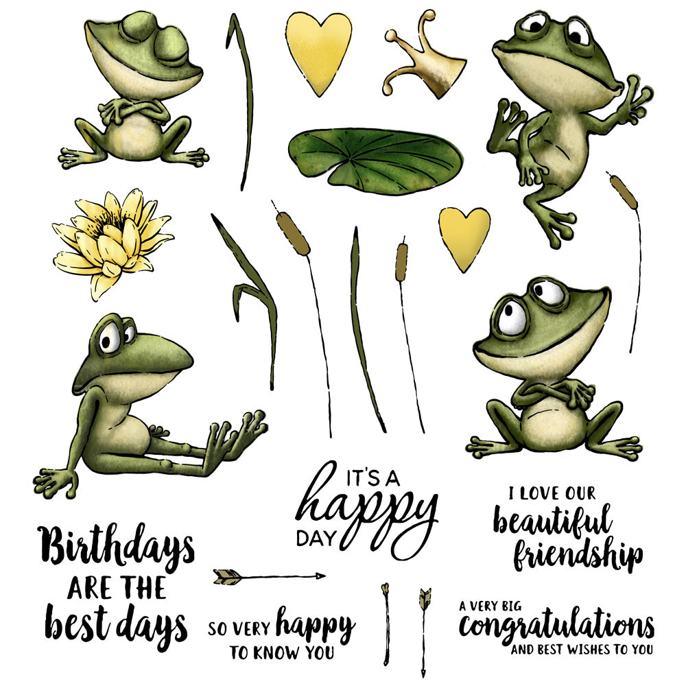 Carttoon Funny Frogs Prince Cutting Dies Set YX544-D