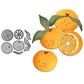 Sweet Oranges Fruits Metal Cutting Dies Set YX945