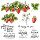 Spring Series Red Sweety Strawberry Cutting Dies Set YX538-D