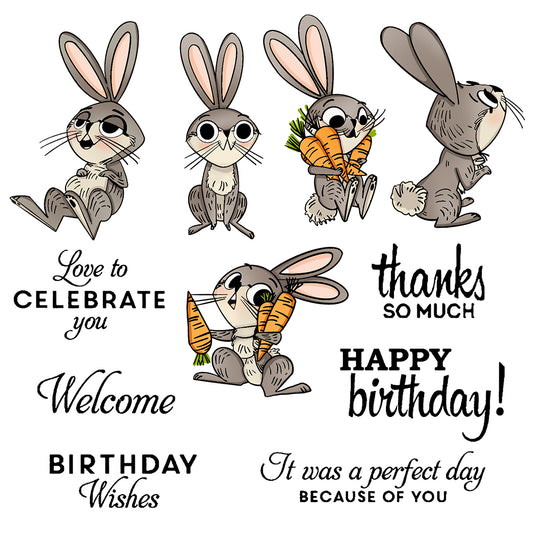 Cute little Rabbits And Carrots Cutting Dies And Stamp Set YX527-S+D