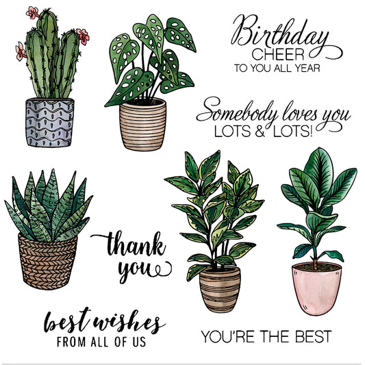 Green Potted Plants Garden Cactus Cutting Dies And Stamp Set YX536-S+D