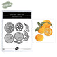 Sweet Oranges Fruits Metal Cutting Dies Set YX945