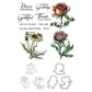 Spring Blooming Flowers Roses And Daisy Cutting Dies And Stamp Set YX1155-S+D