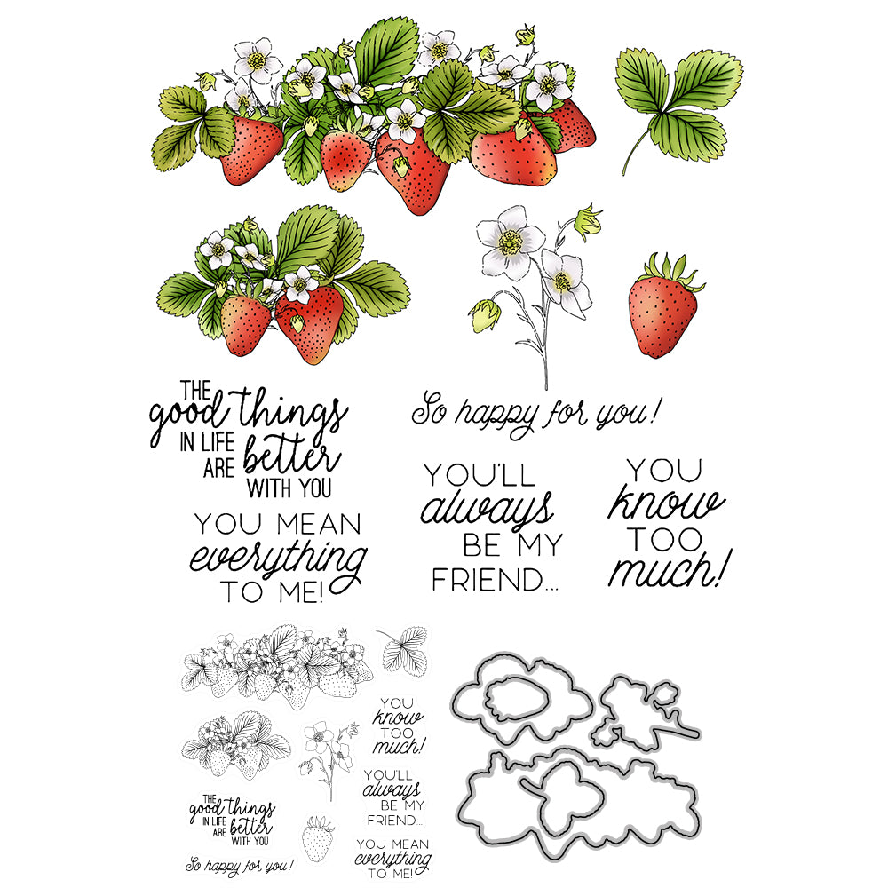 Spring Series Red Sweety Strawberry Cutting Dies And Stamp Set YX538-S+D