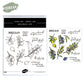 Nature Olive Branches And Leaves Cutting Dies And Stamp Set YX934-S+D